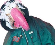 A11.- Irlanda : Dustin the turkey -- Irelande douze pointe